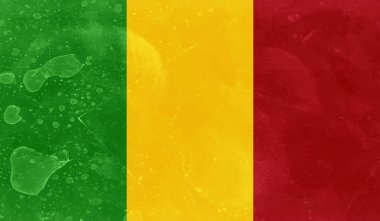 Şeffaf bir arkaplanda Gine 'nin Grunge tarzı bayrağı