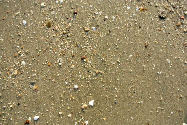 Sea Sand Texture Background — Stock Photo, Image