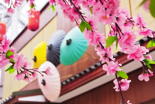 Sakura bloem — Stockfoto