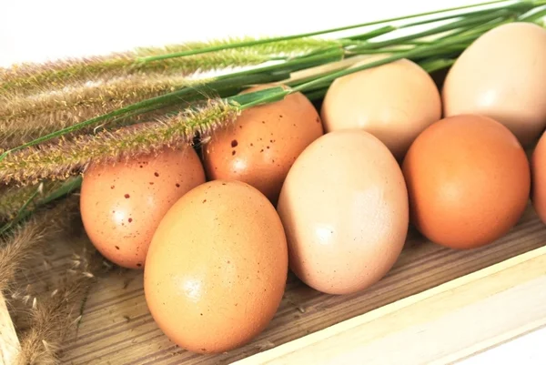 Яйця в дерев'яній коробці і трава на білому тлі — стокове фото