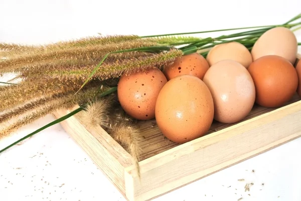 木製の箱や白い背景の草の卵 — ストック写真