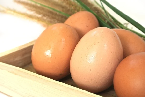 Яйца в деревянной коробке и трава на белом фоне — стоковое фото