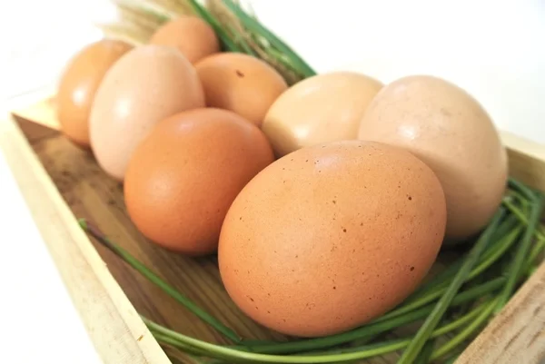 Eier in Holzkiste und Gras auf weißem Hintergrund — Stockfoto