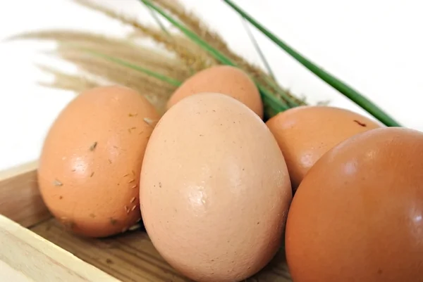 Ovos em caixa de madeira e grama no fundo branco — Fotografia de Stock