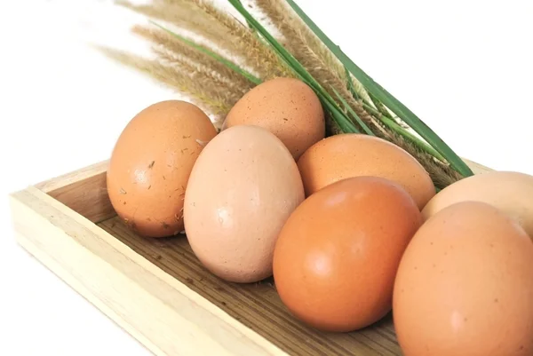 Jaja w drewniane pudełko i trawy na białym tle — Zdjęcie stockowe
