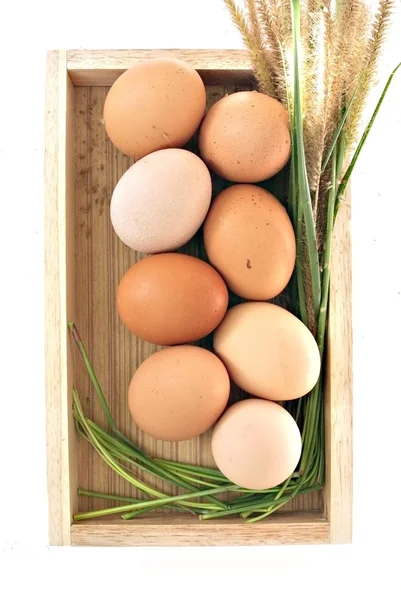 Uova in scatola di legno ed erba su sfondo bianco — Foto Stock