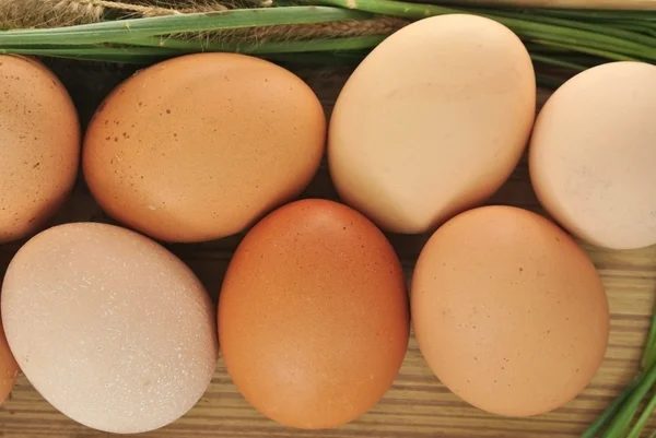 Ahşap kutusunda çim ile yumurta