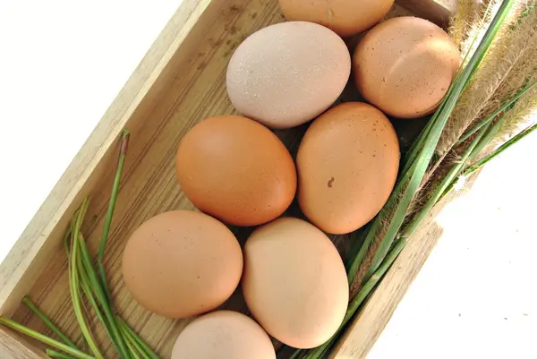 Uova in scatola di legno ed erba su sfondo bianco — Foto Stock