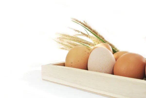 Ahşap kutu ve çim beyaz arka plan üzerinde yumurta
