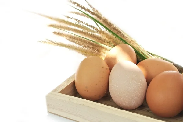 Ahşap kutu ve çim beyaz arka plan üzerinde yumurta