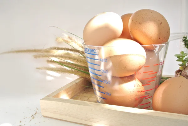 Œufs en tasse à mesurer et boîte avec lumière du soleil sur fond blanc — Photo