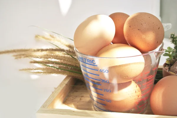 Œufs en tasse à mesurer et boîte avec lumière du soleil sur fond blanc — Photo