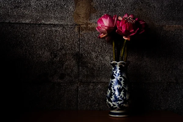Bukiet lotosu różowy na tle ciemnej cegły, dramatyczne oświetlenie, selektywne focus. — Zdjęcie stockowe