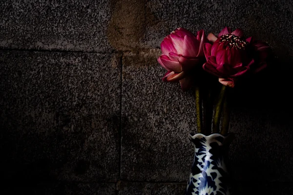 Karanlık tuğla arka plan, dramatik aydınlatma, seçici odak pembe Lotus buket.