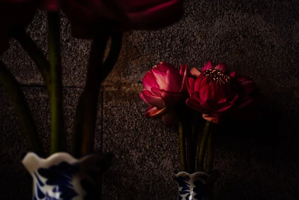 Ramo de loto rosa sobre fondo de ladrillo oscuro, iluminación dramática, enfoque selectivo . Imagen de archivo