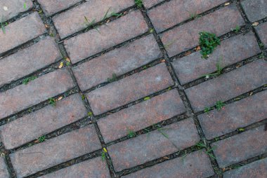 Taş kaldırım dokusu