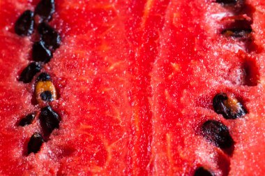 arka plan veya doku karpuz