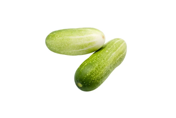 taze salatalık izole 