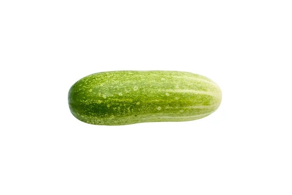 Fresh cucumber isolated — Stock Photo, Image