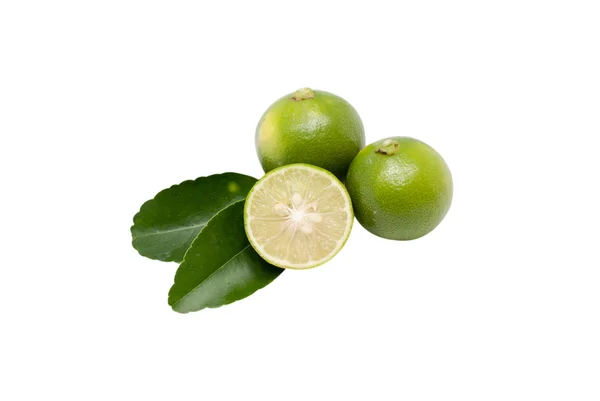 Citrus lime fruit — Stock Photo, Image