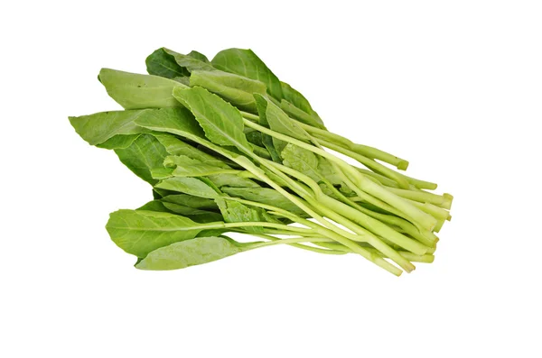 Çin brokoli sebze