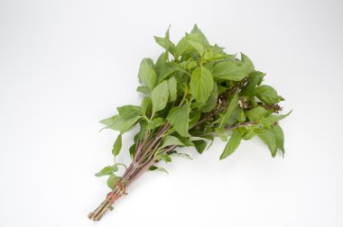 beyaz izole fesleğen