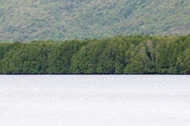 manzara dağ ve deniz