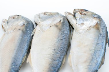 taze uskumru buğulama