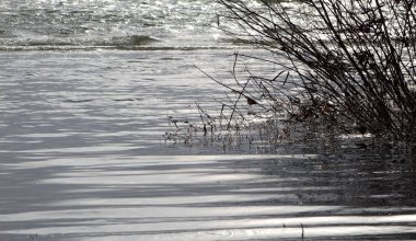 Vahşi nehrin güzel manzarası.