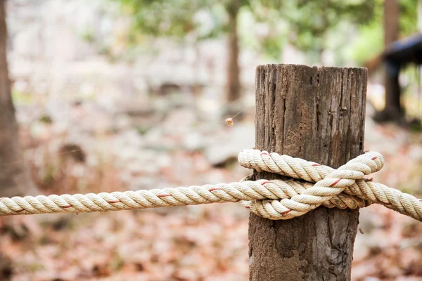 Rope tied in wooden pole in forest background — Stock Photo, Image