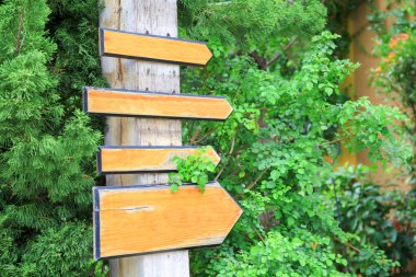 Yeşil orman iz arka plan aynı yönde işaret boş tahta işaret panoları