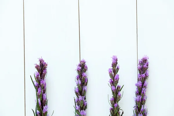 Violet Lavender flowers on pure white wood background