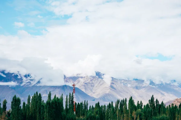在印度拉达克的Leh，山上有雪，底部有绿色树木，有红色电线杆 — 图库照片