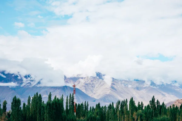 Mountain with snow on top and green trees in bottom with red power pole in Leh, Ladakh, India — Stock Photo, Image