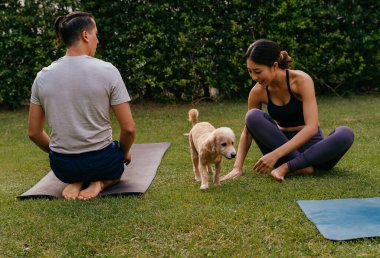 Bahçede yoga dersi sırasında köpekle iletişim kuran Asyalı çift.