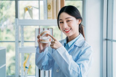 Diş hekimi elinde takma diş tutuyor.