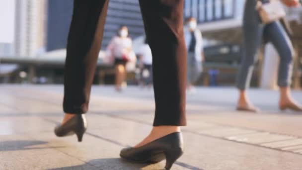 Beine der jungen Geschäftsfrau zu Fuß — Stockvideo