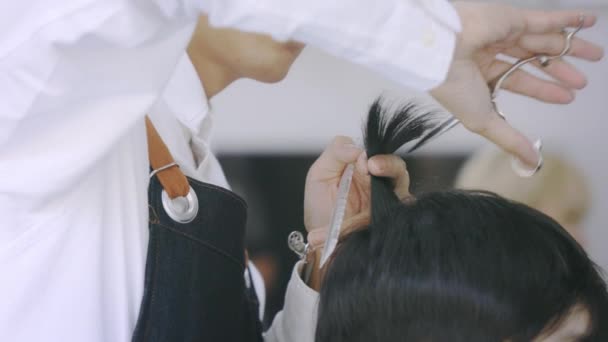 Peluquería masculina recortar el pelo del cliente — Vídeos de Stock
