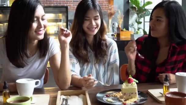 Friends group of Asian female enjoying and having a conversation at cafe and restaurant — Video