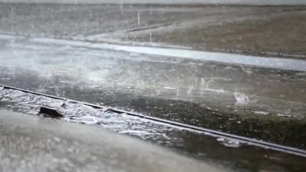 Rain drops falling on the wet ground — Wideo stockowe