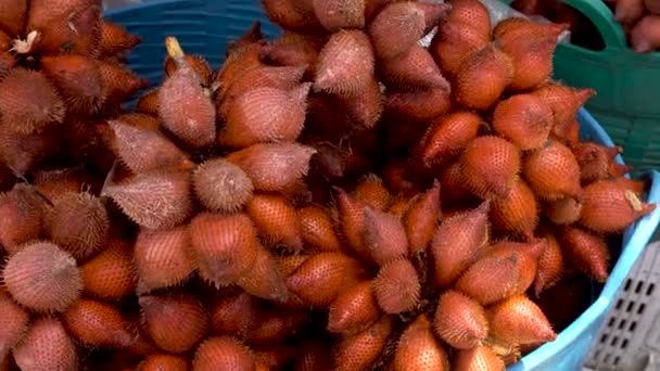 Куча свежих фруктов салака или салака, продающихся на рынке в Таиланде — стоковое видео