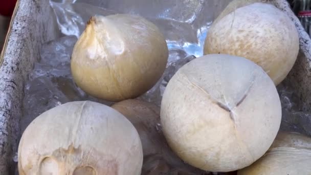 Panning shot de suc de nucă de cocos în nucă de cocos prăjită în cutie mai rece — Videoclip de stoc