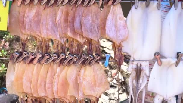 Dolly Shot of Dried squids hanging on rope with clip pinching at street food stalls in Thailand — Stock video