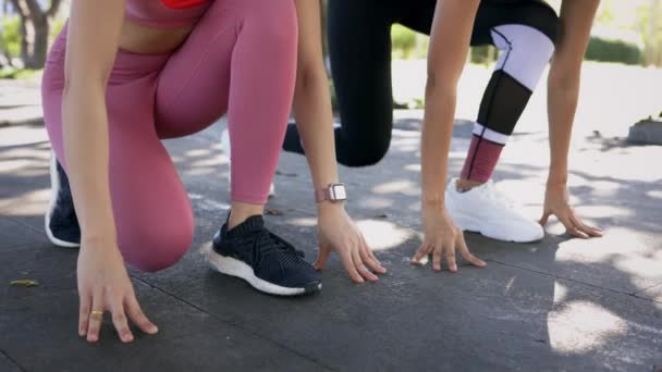 공원에서 달릴 준비를 하고 있는 두 여자 — 비디오