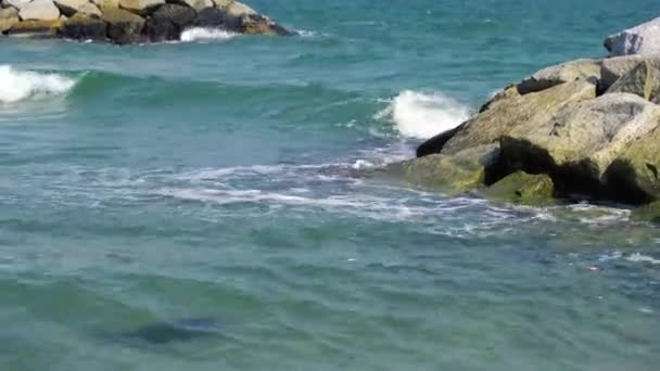 Krajobraz wideo potężnych fal rozbijających się na skalistej plaży w Rayong, Tajlandia, Azja — Wideo stockowe