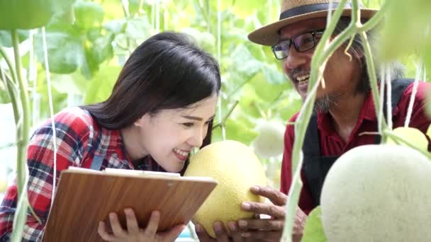 Glada asiatiska bönder ler och håller en mogen melon på sin egen gård fält — Stockvideo