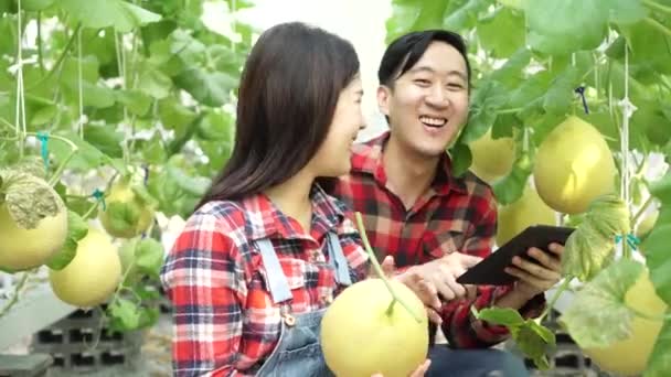 Joven pareja asiática de agricultores usando una tableta digital en su granja de melones de invernadero — Vídeos de Stock