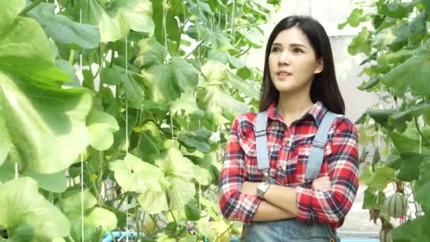 Joven agricultora asiática que tiene los brazos cruzados con sonrisa feliz dentro de granja agricultura jardín — Vídeo de stock