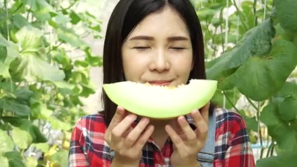 Jovem agricultora asiática tendo uma fatia de melão e cheirar o sabor no campo de fazenda de melancia — Vídeo de Stock