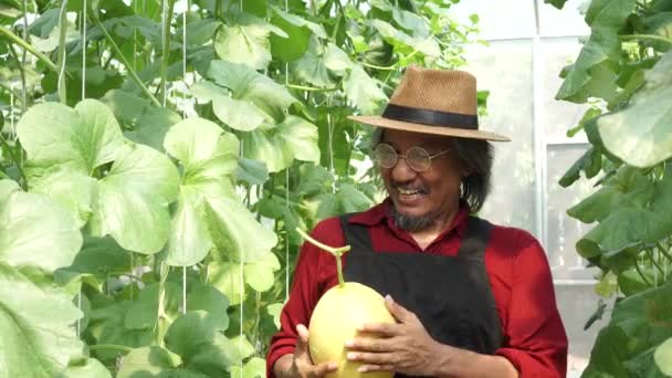 Senior manlig bonde kramas och nöjd med sin gård produkt, kantaloupe melon inne gård trädgård — Stockvideo